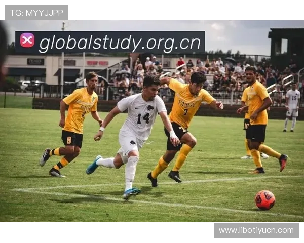 乐鱼体育集团网址全面升级为用户提供更便捷的体育资讯服务