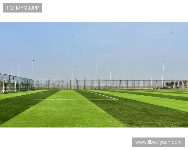 旺财体育举办大型体育赛事激发全民运动热情促进体育文化繁荣